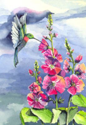 100-114 Ruby throat hummingbird